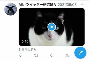 Twitterの動画を保存 ダウンロード する方法 Iphone Android Pc全対応 マイナビニュース