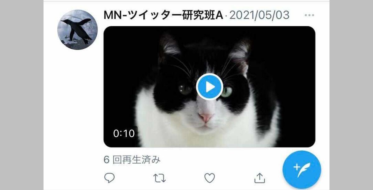 Twitterに動画投稿する方法 サイズや形式 アップロード手順を全解説 マイナビニュース