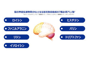 12歳までの運動経験で認知機能が維持 増進されることを玉川大などが確認 Tech 12歳までの運動経験で認知機能が維持 増進されることを玉川大などが確認 Tech