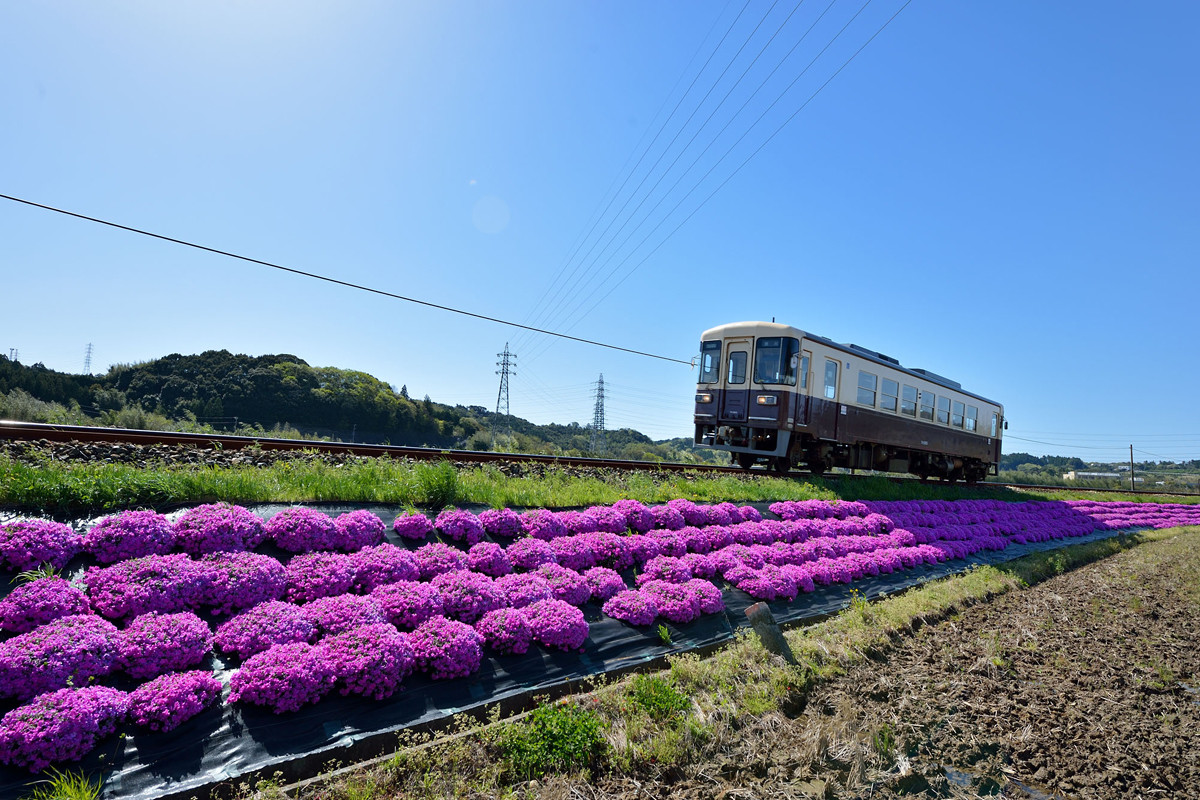 天竜浜名湖鉄道「TH3000形勇退記念イベント」記念グッズの販売会