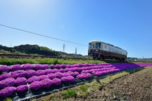 天竜浜名湖鉄道「TH3000形勇退記念イベント」記念グッズの販売会も