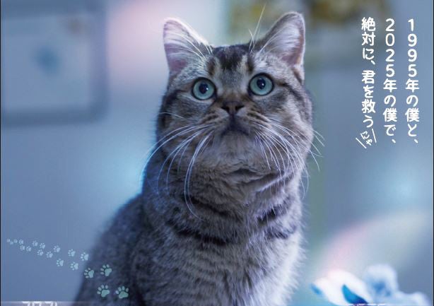 猫オーディションを勝ち抜いたベテラン俳優猫 夏への扉 特別ポスターに マイナビニュース