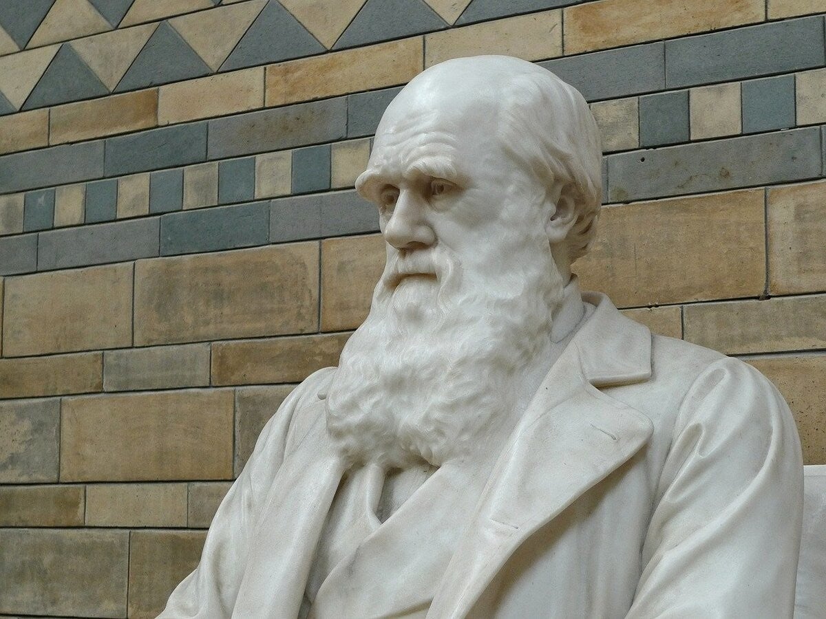 ダーウィンの進化論とは ダーウィン賞や名言も紹介 マイナビニュース