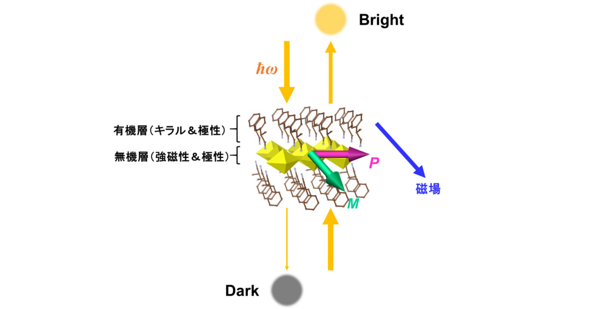 東北大など 眺める角度によって明るさが変化する磁石を作り出すことに成功 Tech