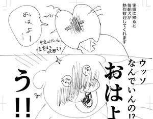 【イッヌ最高】ひさびさに会えて超ハイテンションからの……実家の犬を思い出して描いた漫画が「最高に可愛い」「共感と笑いしかない」と話題に