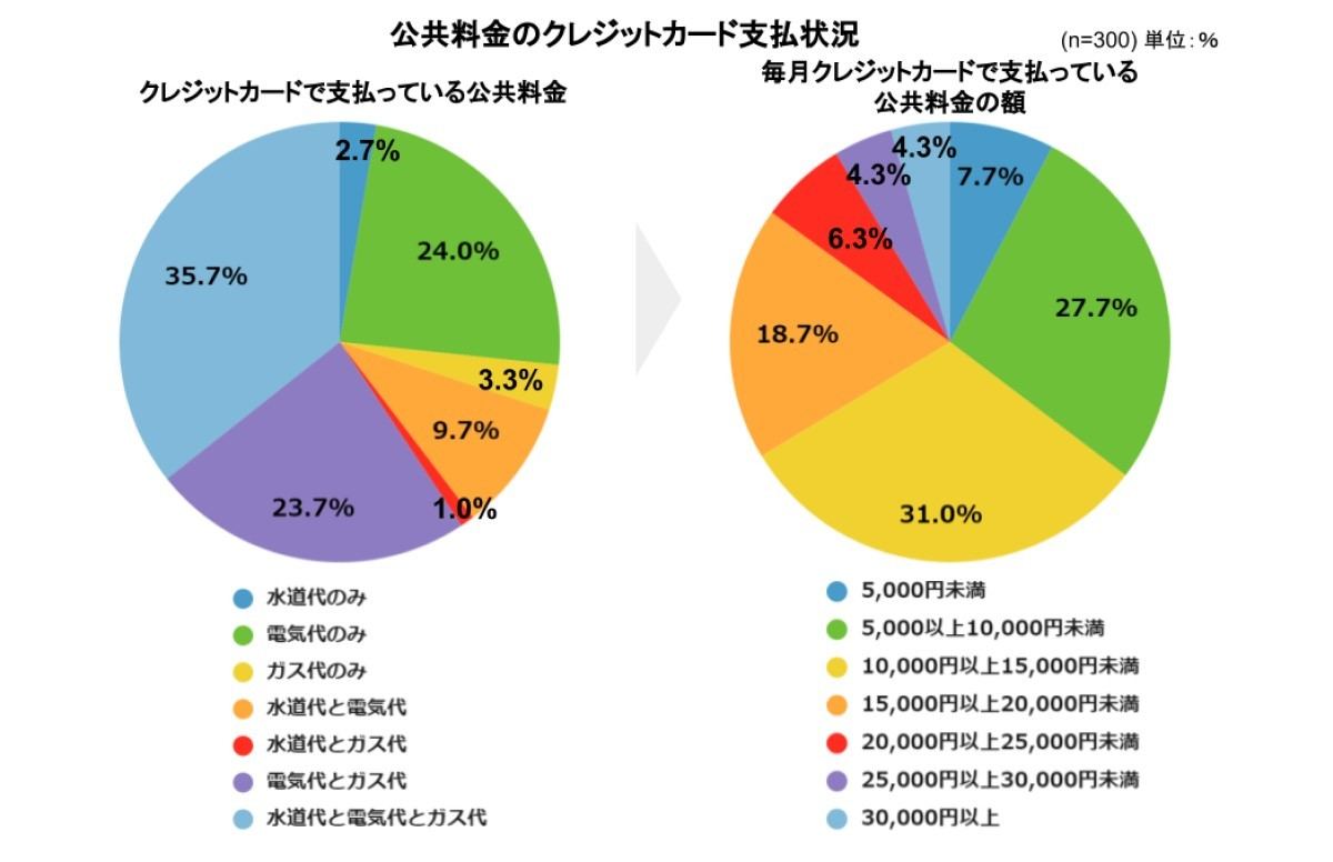 主婦が公共料金の支払いに利用しているクレジットカード 1位は マイナビニュース