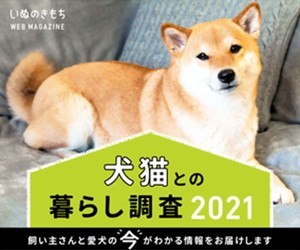 愛犬家・愛猫家に聞いた、犬・猫を飼うことの良い点は?