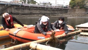 市川海老蔵、DASH海岸に登場　童心にかえって大盛り上がり