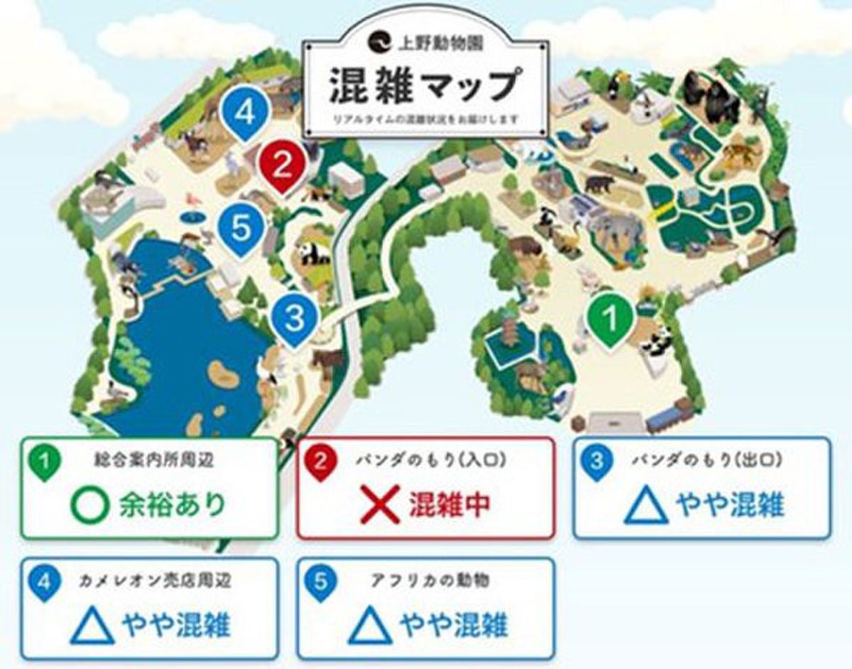 Ai活用し上野動物園の混雑状況をリアルタイムに可視化 Tech