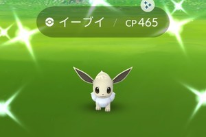 アフター5でポケモンGO！ 「Special Weekend」で色違いイーブイを捕まえた