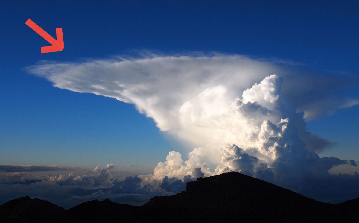 虹は狙って見つけられる 雲研究者 荒木健太郎先生に聞く 雲と天気と防災のこと 前編 マイナビニュース