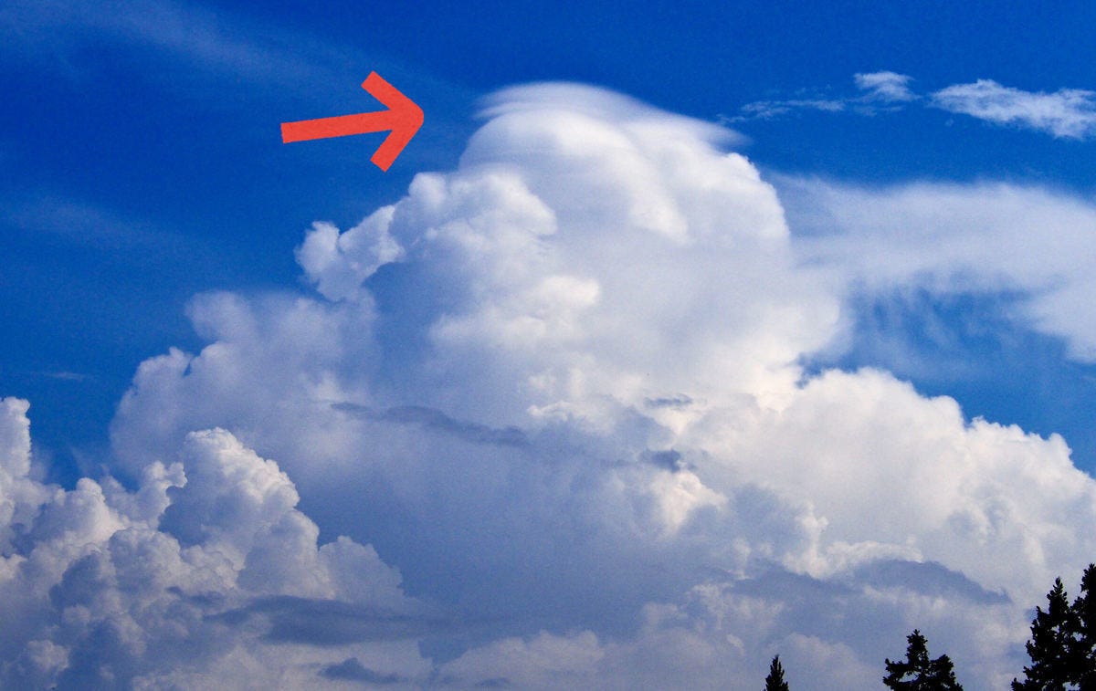 虹は狙って見つけられる 雲研究者 荒木健太郎先生に聞く 雲と天気と防災のこと 前編 マイナビニュース