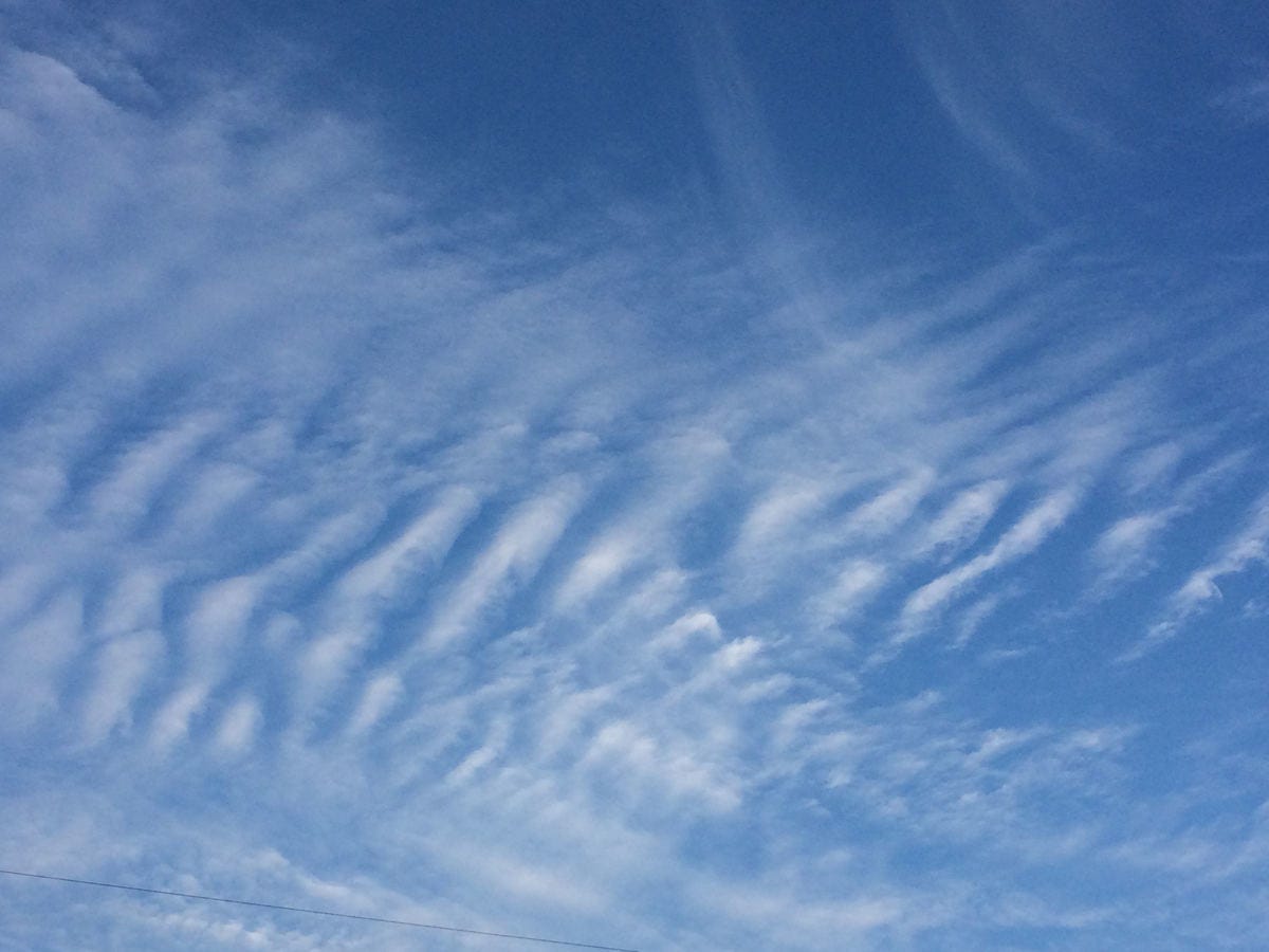 地震雲 は存在しないってホント 雲研究者 荒木健太郎先生に聞く 雲と天気と防災のこと 後編 マイナビニュース