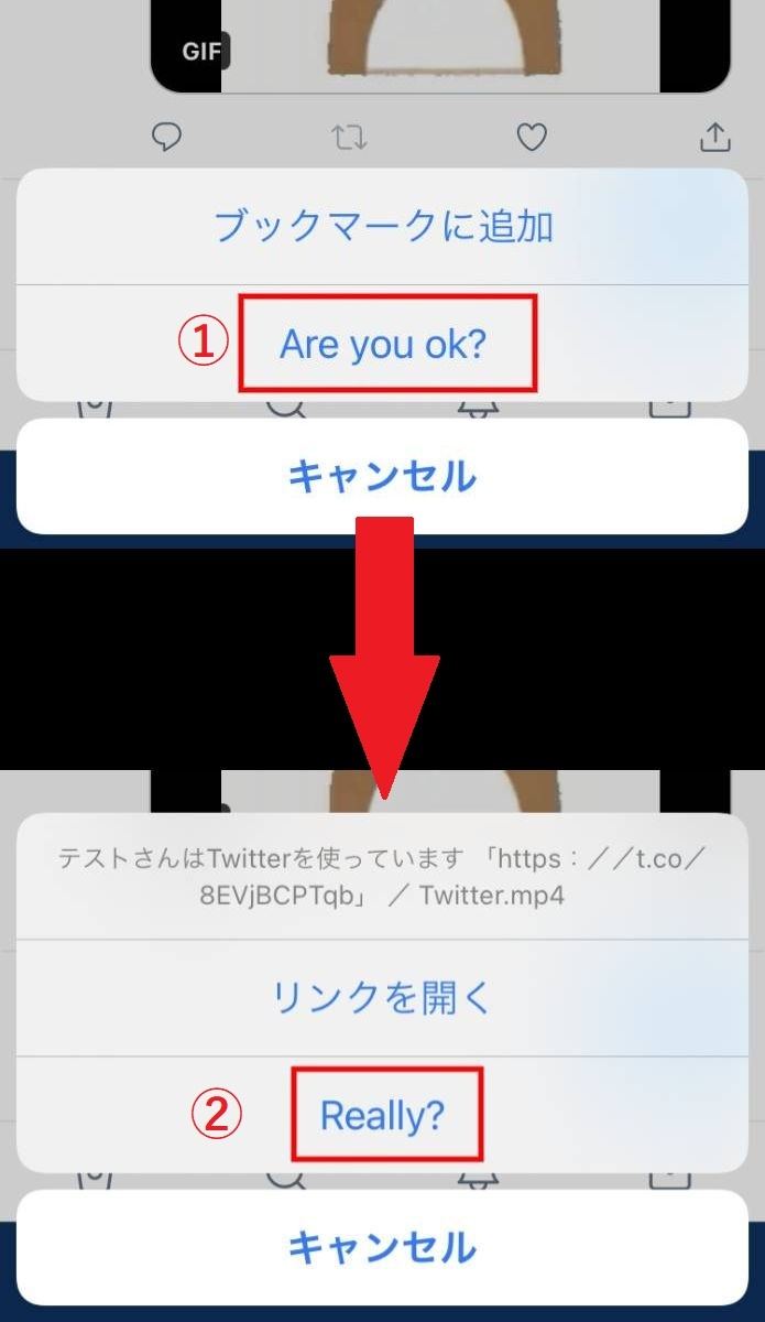 Twitterのgif動画を保存 ダウンロード する方法 Iphone Android Pc 1 マイナビニュース