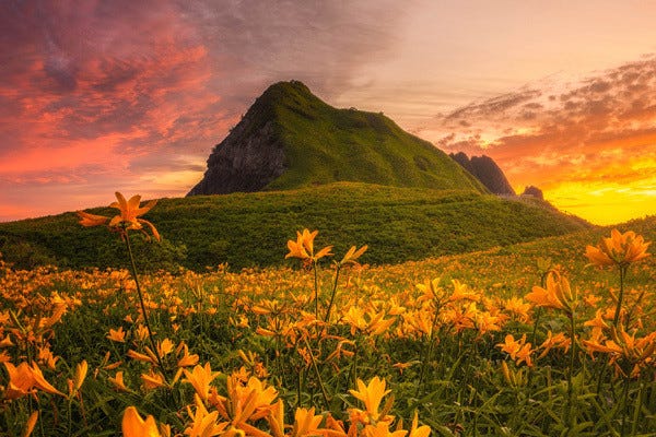 まさに絶景 黄色い花が一面に咲き乱れる佐渡の夕焼けに 本当に日本とは思えない めっちゃ綺麗ですね ぜひ直接見てみたい風景 と絶賛の声 マイナビニュース