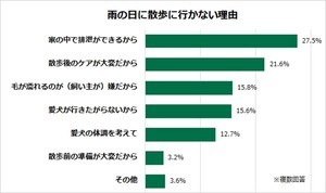 愛犬家に聞いた、雨の日は散歩に行く?行かない?