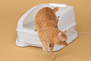 猫用のスマートトイレ「Toletta」、本体代金が無料に　月額1,078円で利用可