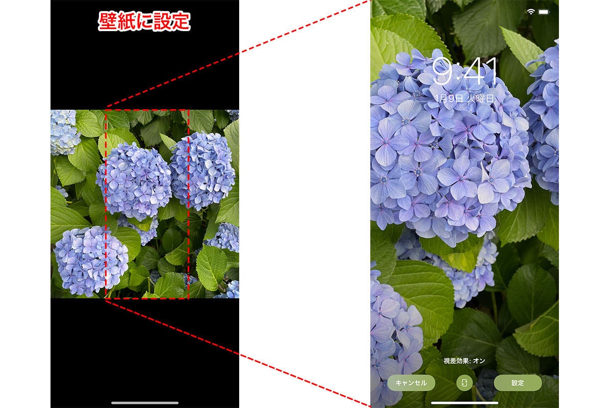 Iphoneの壁紙サイズを解説 画像 写真をピッタリ合わせる方法も マイナビニュース