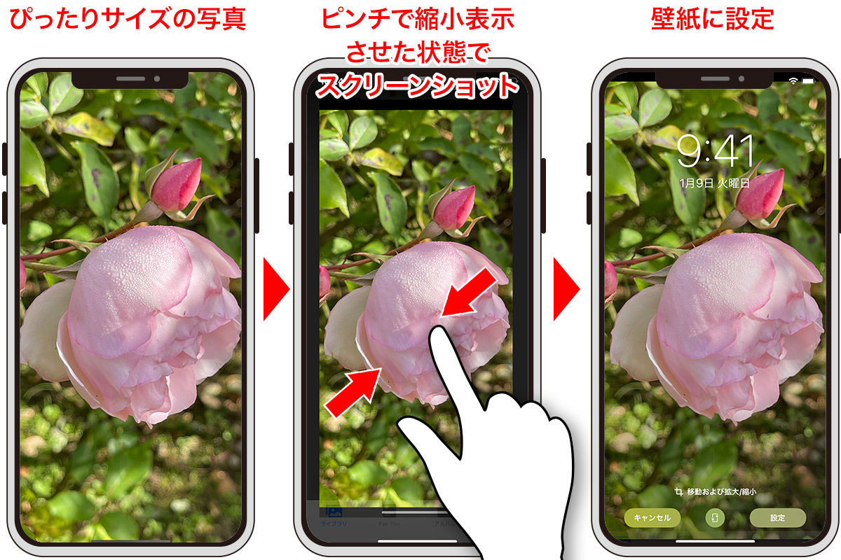 Iphoneの壁紙サイズを解説 画像 写真をピッタリ合わせる方法も マイナビニュース