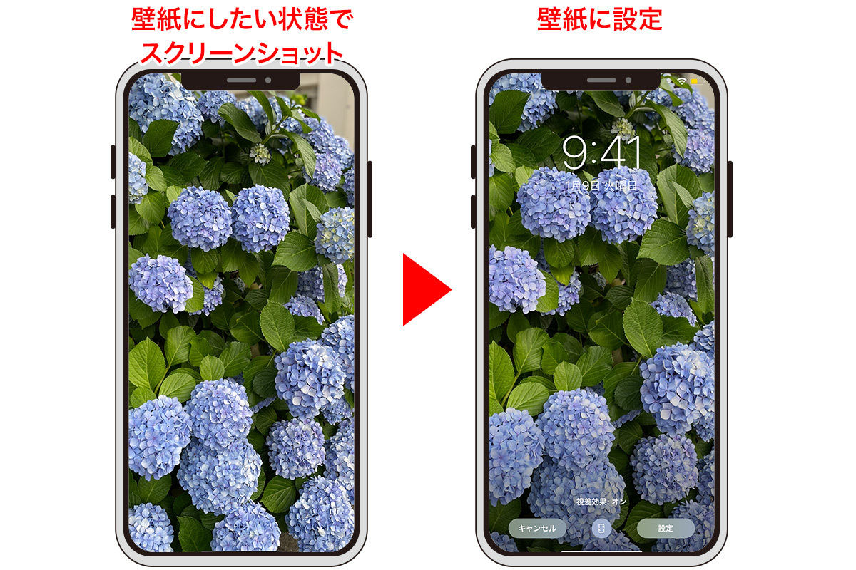 Iphoneの壁紙サイズを解説 画像 写真をピッタリ合わせる方法も マイナビニュース