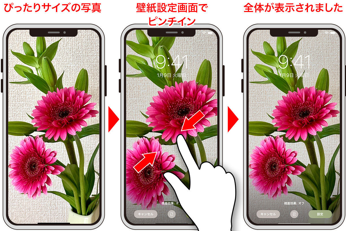 Iphoneの壁紙サイズを解説 画像 写真をピッタリ合わせる方法も マイナビニュース