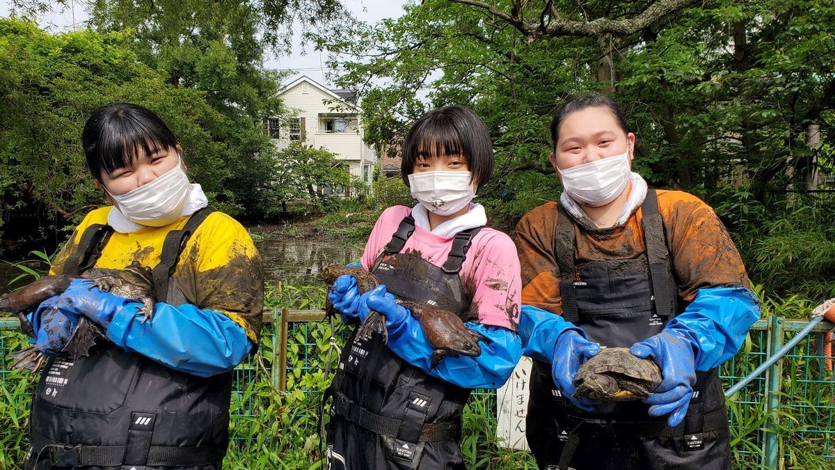 ぼる塾 池の水 でまさかの涙 チョコプラは新pjで 東京の川の魚全部とる マイナビニュース