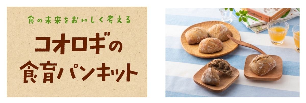 敷島製パン 未来食 を学ぶ コオロギの食育パンキット 発売 自由研究コンテストも開催 マイナビニュース