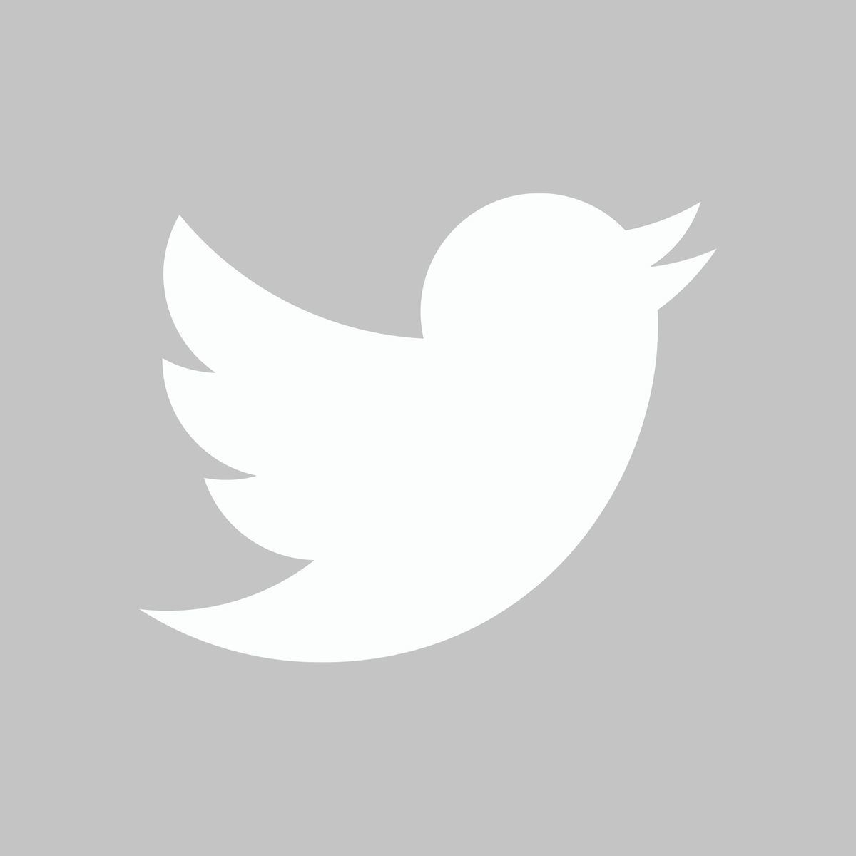 Twitterのロゴをダウンロードする方法 利用規約も日本語訳で解説 マイナビニュース