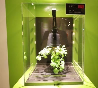 上野 科博で意外とアクティブな植物の魅力が知れる特別展 植物 が開催 Tech