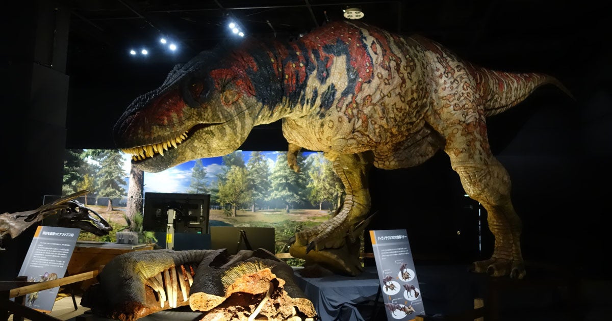 全長12mの動くティラノサウルスが間近で見れる 恐竜展21 が開幕 Tech