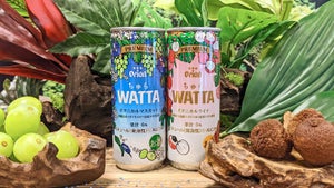 オリオンビールのチューハイ「WATTA」関東本格上陸、秋には全国展開へ - 新商品「ちゅらWATTA」も発売