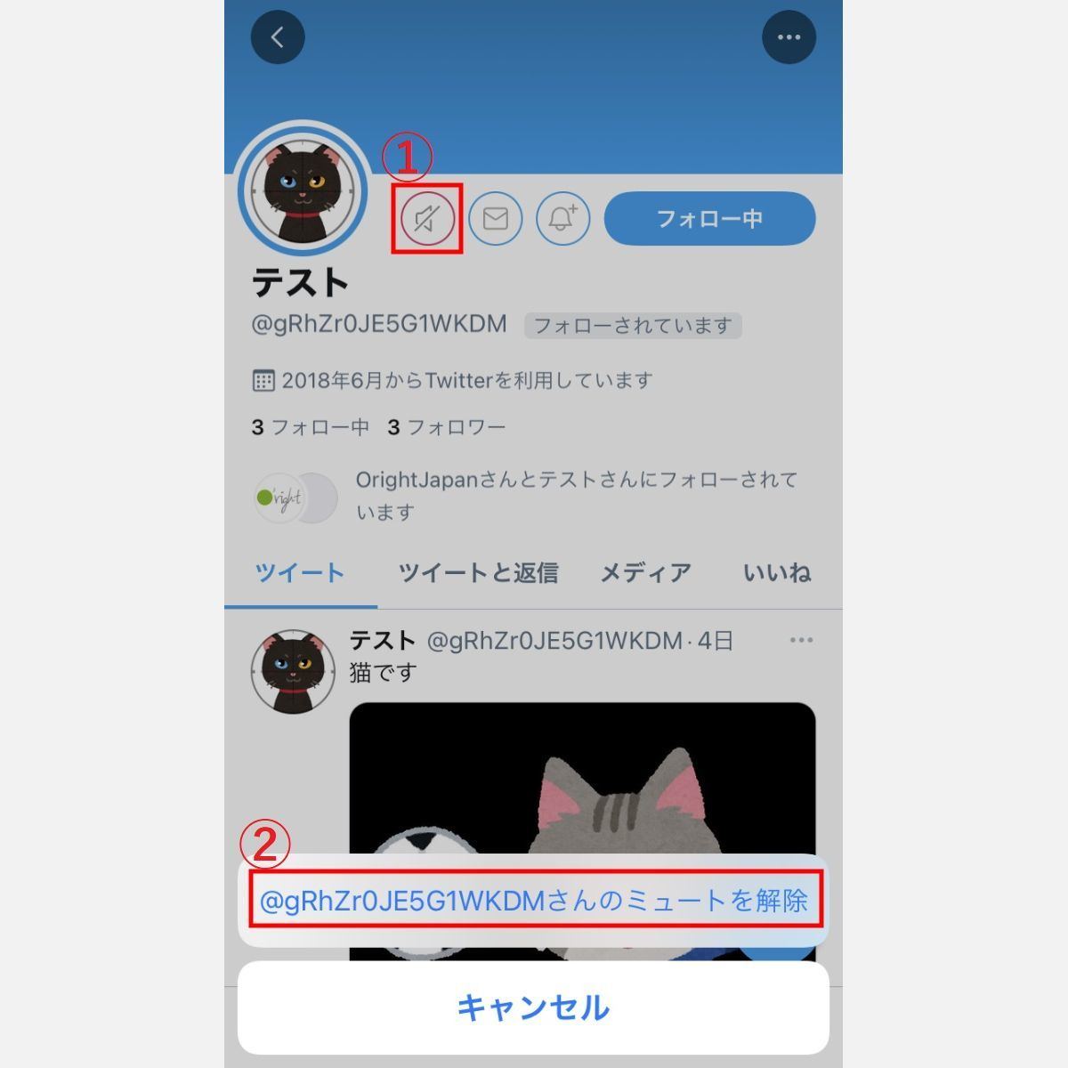 Twitterの ミュート とは 設定方法やブロックとの違いを解説 1 マイナビニュース