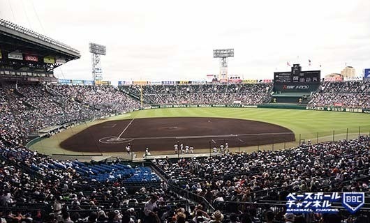 トーナメント表 第103回全国高校野球選手権大会 試合日程スケジュール マイナビニュース