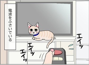 【確信犯なの!?】「テレビつかない…」猫との暮らしで起こりがちな"あるある"が憎めない～! - 「絶対わかってやってる!」「厄介なのはボリュームボタン」と共感の声