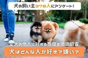 飼い主に聞いた、愛犬が異常に好む人・異常に嫌う人の特徴は?