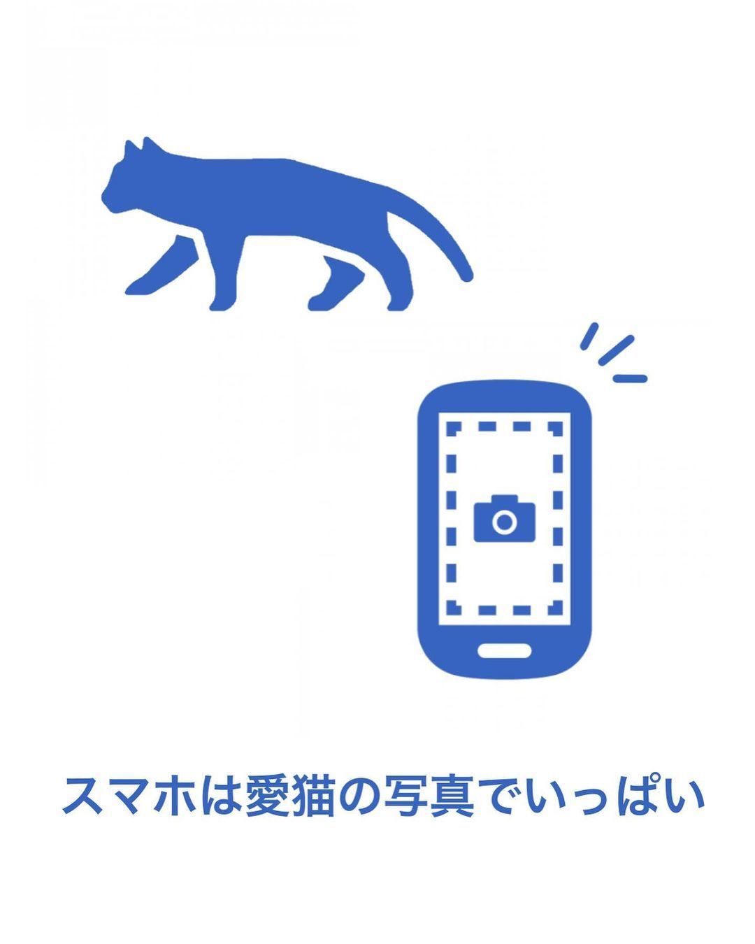 猫あるある 全部当てはまる 猫と暮らすピクトグラムが共感しかない 気づかず踏むゲロ 不器用な優しさ マイナビニュース