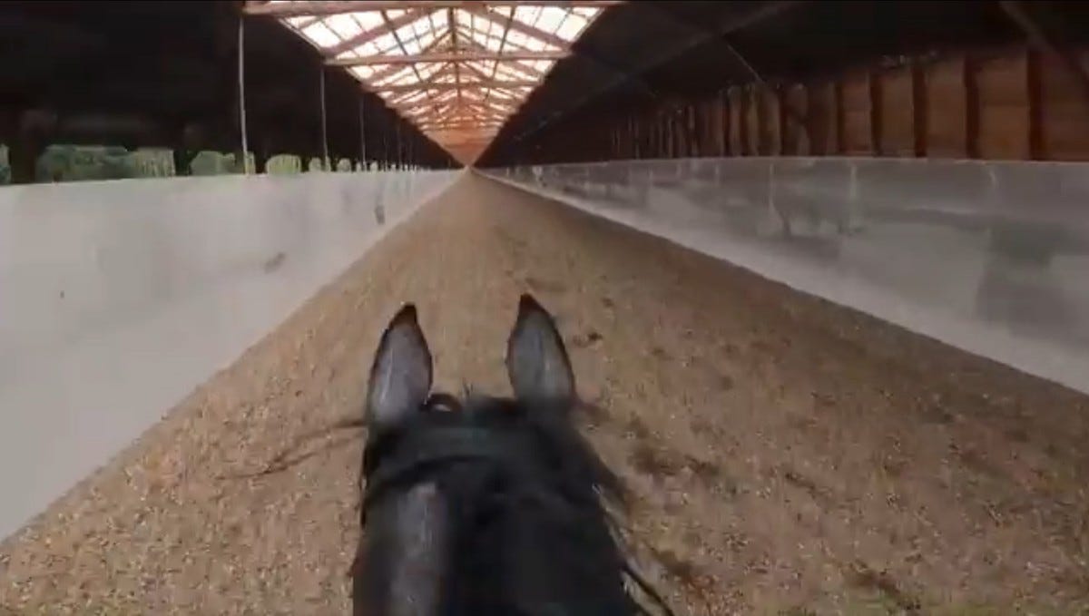 驚きの映像 まるで競走馬に乗っている気分 全力で駆ける馬上から撮影した動画に すごい爽快なスピード感 とツイッター感動 ライダーの技術力にも 驚きの声 マピオンニュース