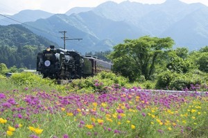 秩父鉄道「SLケロコロエクスプレス」コーワのキャラクターとコラボ