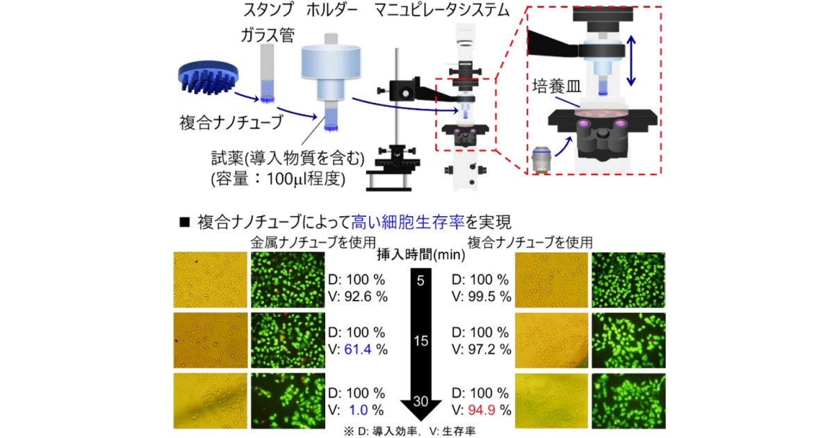 早大など 細胞用注射技術の改良で30分後の細胞生存率を95 まで向上 Tech