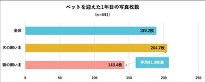 犬・猫の飼い主に聞いた、家族に迎えた1年目の写真枚数は?