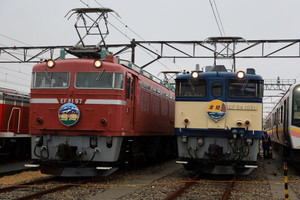 JR東日本「長岡車両センター見学会」開催、EF81形・EF64形など展示