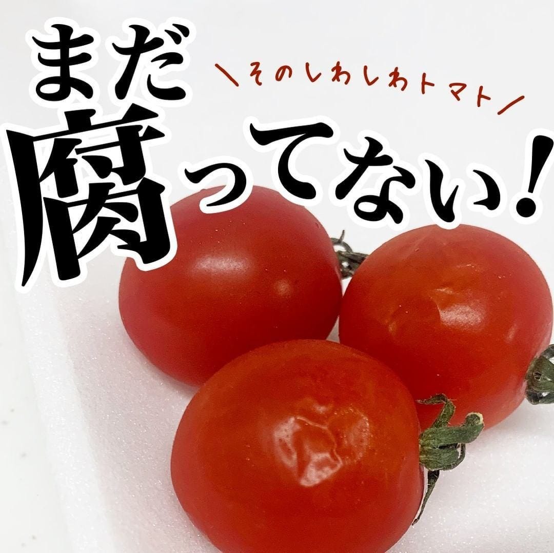 それ捨ててない シワシワのミニトマトを5分でぷりぷりに復活させる方法 すごい 衝撃の事実 と驚きの声 マイナビニュース