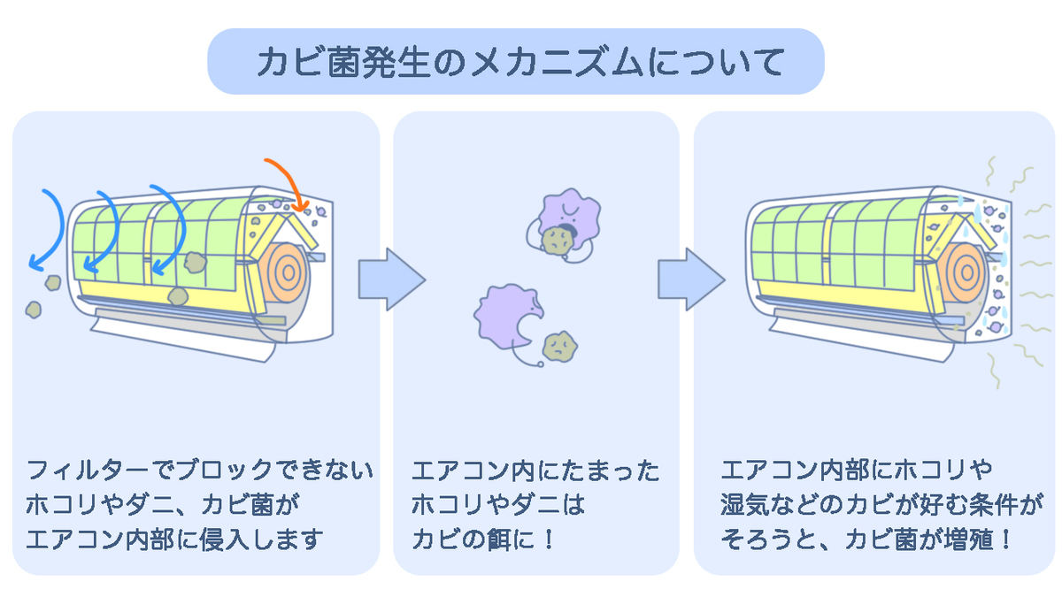 カビ菌発生のメカニズム