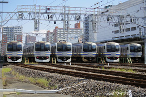 JR東日本「錦糸町駅電留線E217系撮影会」6編成が並び、自由に撮影