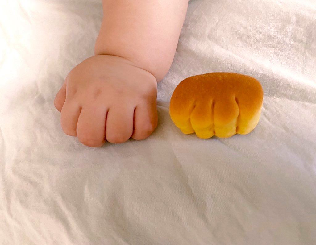 可愛すぎ 赤ちゃんの パンみたいな手 を 本当のパンと並べてみたら ツイッターで注目 マイナビニュース