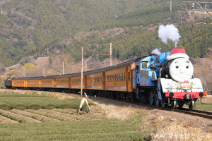 大井川鐵道「きかんしゃトーマス号」今冬は「年またぎ」で特別運転