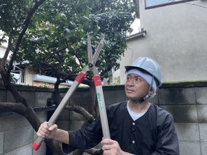 城島茂、都会の木々に悪戦苦闘　庭に生い茂る森状態の木を伐採