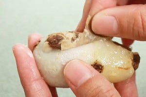 【気持ちいい～】固い里芋の皮が簡単にむける裏技とは?