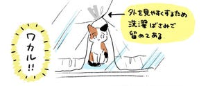 【4コマ】わかりみ深すぎ!「近所の愛され猫ちゃん」の漫画に共感多数! - 「我が家のことかと」「飼い主さんもかぁいい」