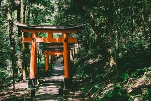 お賽銭の金額がもつ意味とは? 神社やお寺を参拝する基本作法も解説